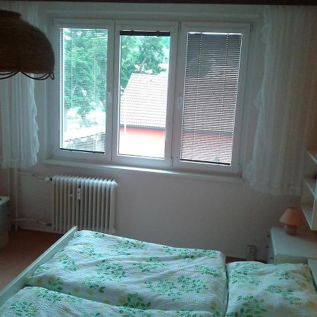 Apartman Csa ฟรันทิชโกวี ลาซเน ภายนอก รูปภาพ
